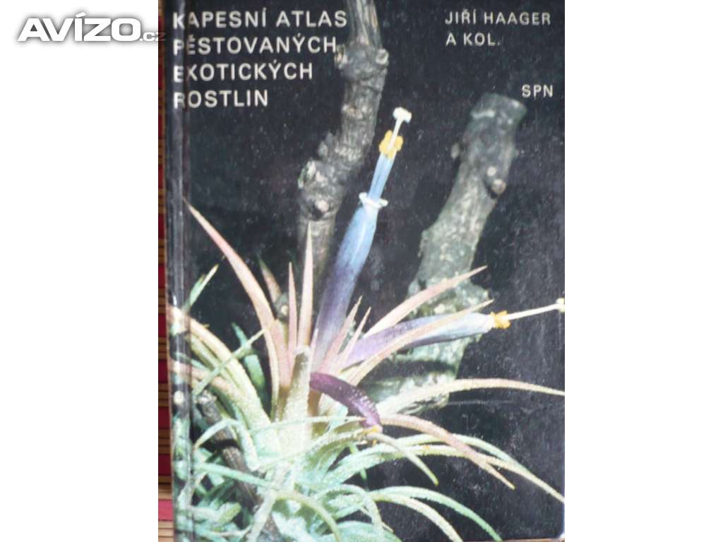 Jiří Haager Kapesní atlas pěstovaných exotických rostlin 