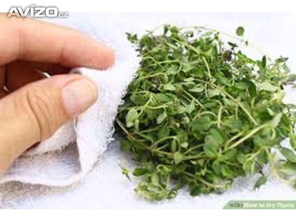 Tymián- Sušený(100g) /www.rostliny-prozdravi.cz