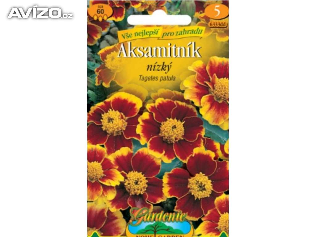 Aksamitník rozkladitý nízký, hnědo-žlutý (semena) levna-semena.cz