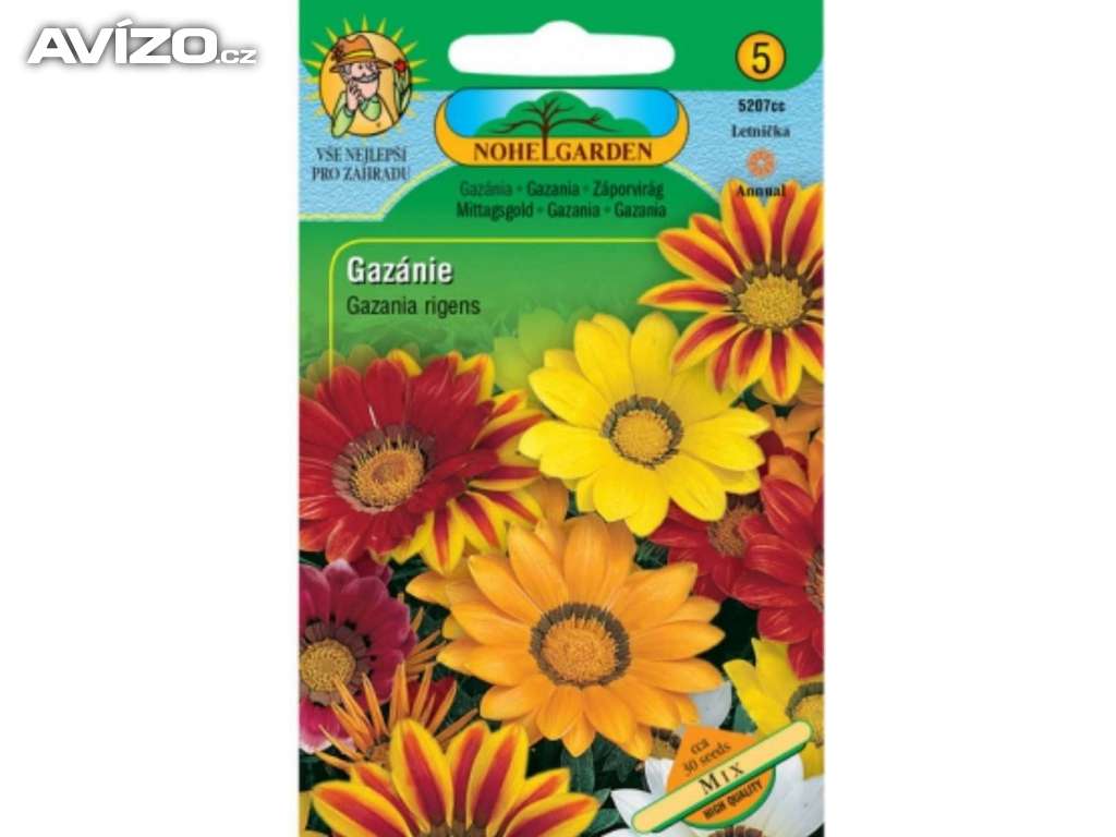 Gazánie zářivá, Mix (semena) rostliny-prozdravi.cz