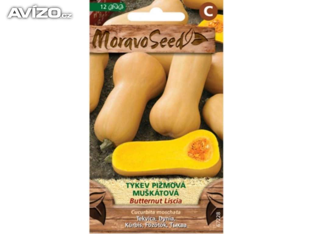 Tykev pižmová, muškátová (semena) www.levna-semena.cz