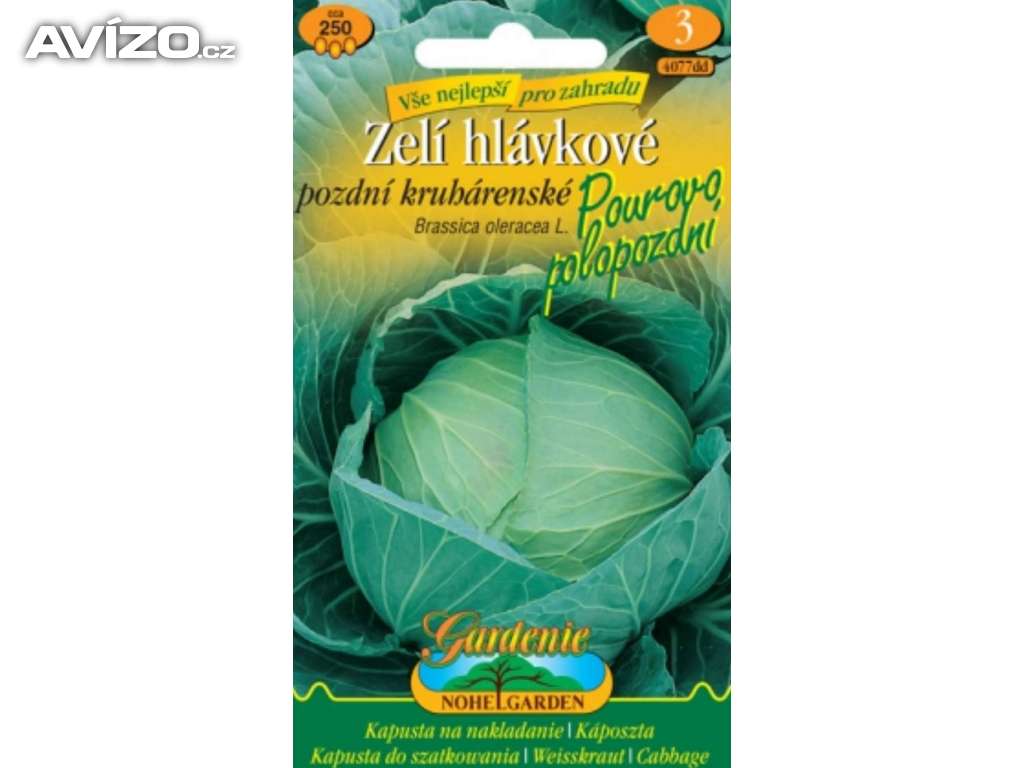 Zelí hlávkové, Pourovo polopozdní /www.levna-semena.cz