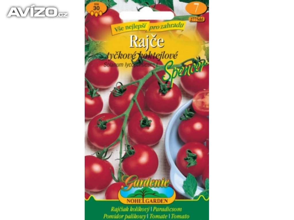 Rajče tyčkové, koktejlové - Spencer (semena) levna-semena.cz