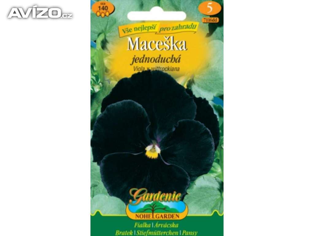 Maceška černá, jednoduchá (semena) / www.levna-semena.cz