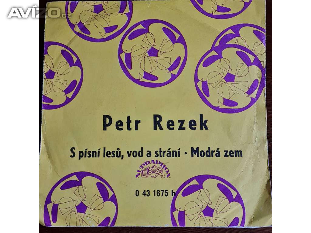 SP - PETR REZEK