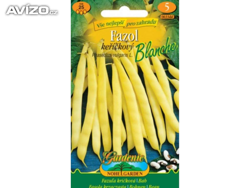 Fazol keříčkový žlutý, Blanche (semena) levna-semena.cz