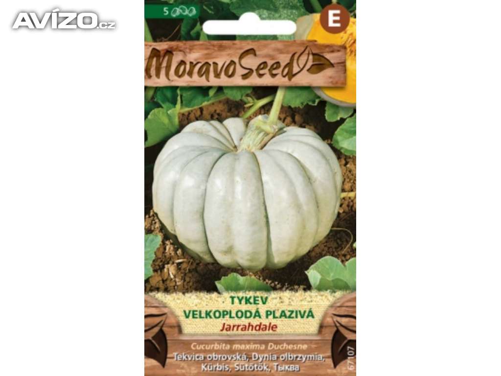 Tykev velkoplodá plazivá, Jarrahdale (semena) www.rostliny-prozdravi.cz