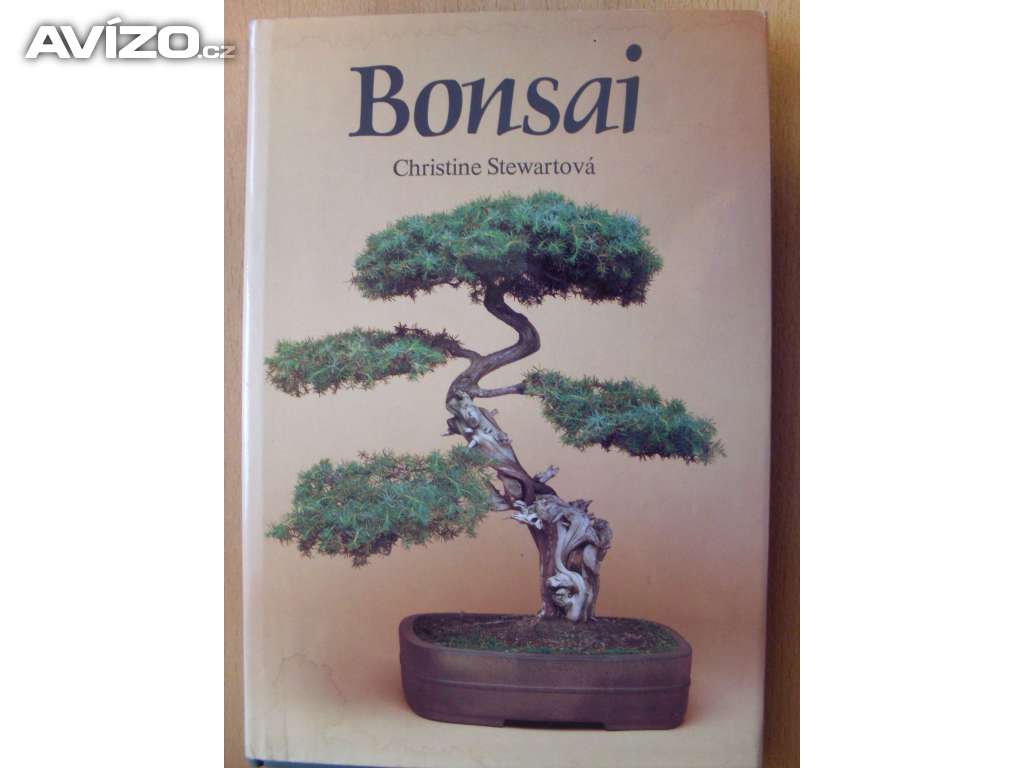 Christine Stewart Bonsai