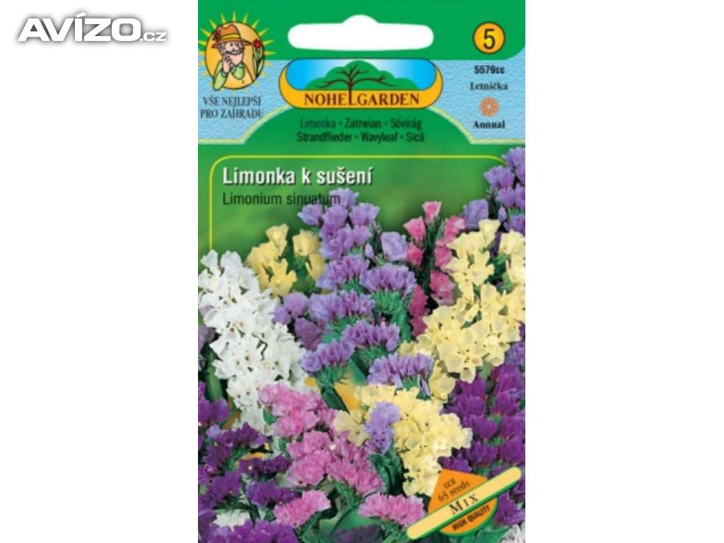 Limonka chobotnatá k sušení, směs (semena) www.levna-semena.cz