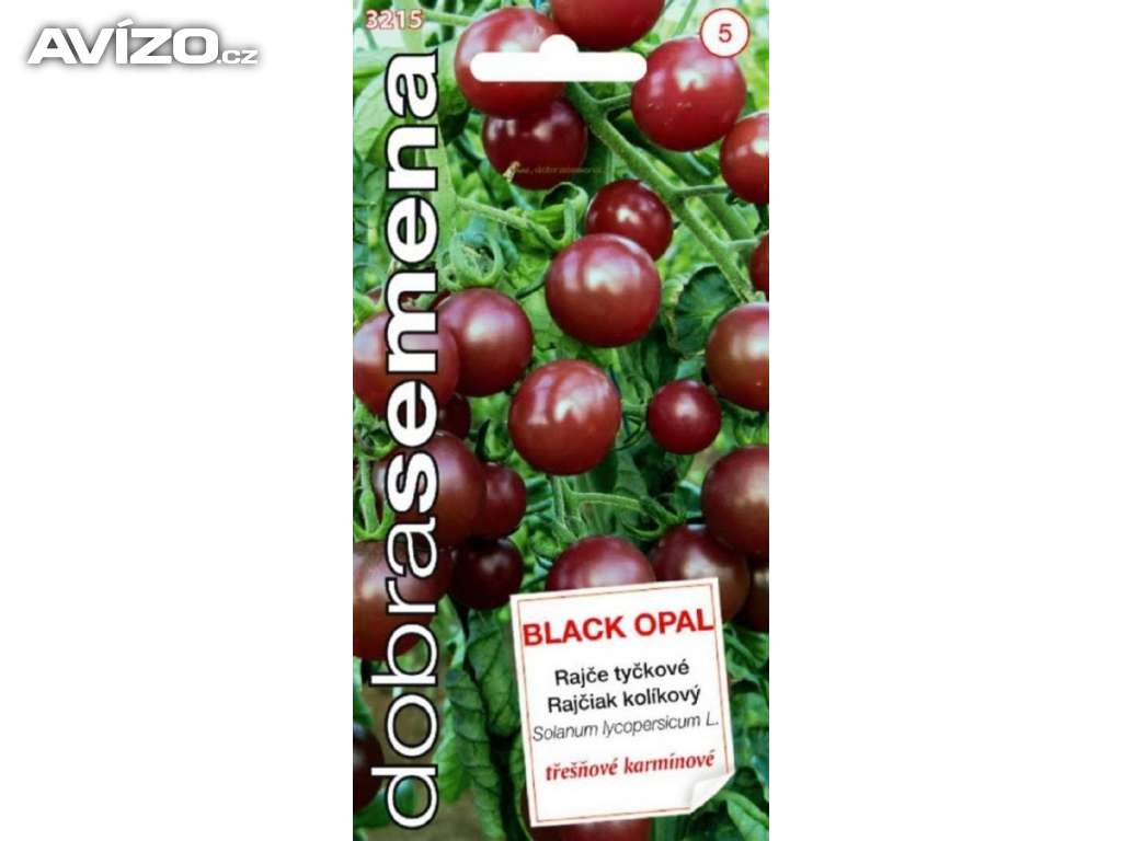 Rajče tyčkové, tmavě hnědé - Black opal (semena) www.levna-semena.cz