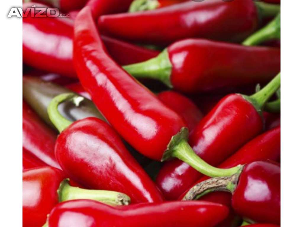 Chilli paprička, Saltillo (semena) levna-semena.cz