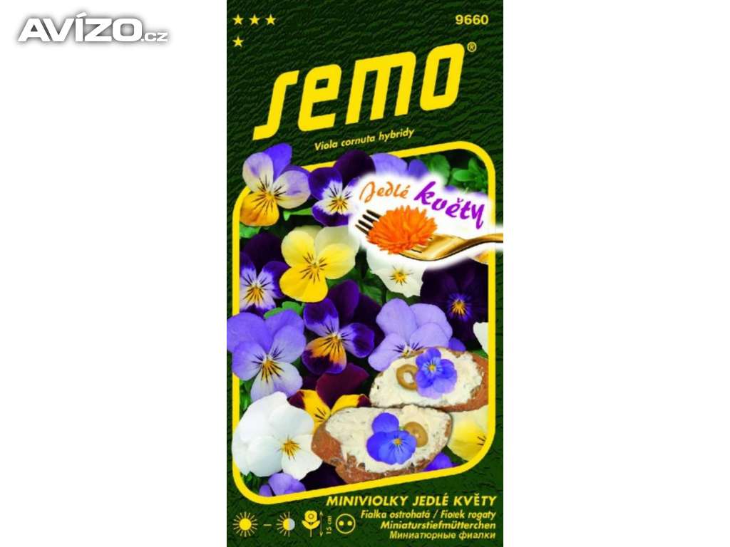 Jedlé květy - Miniviolky (semena) www.levna-semena.cz