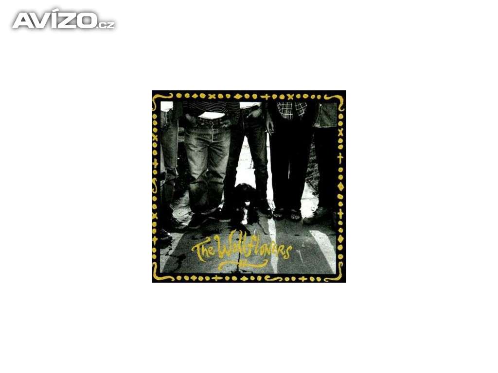 CD - The Wallflowers