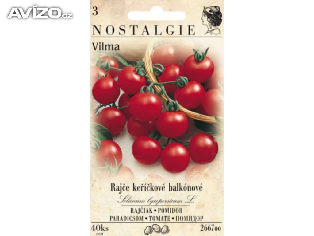 Rajče keříčkové, balkonové - Vilma (semena) www.rostliny-prozdravi.cz