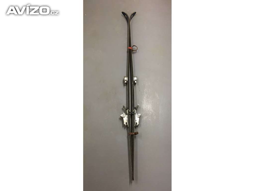 Foto inzerátu Lyže s vázáním i s hůlkami