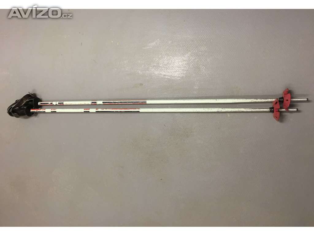 Foto inzerátu Lyže s vázáním i s hůlkami