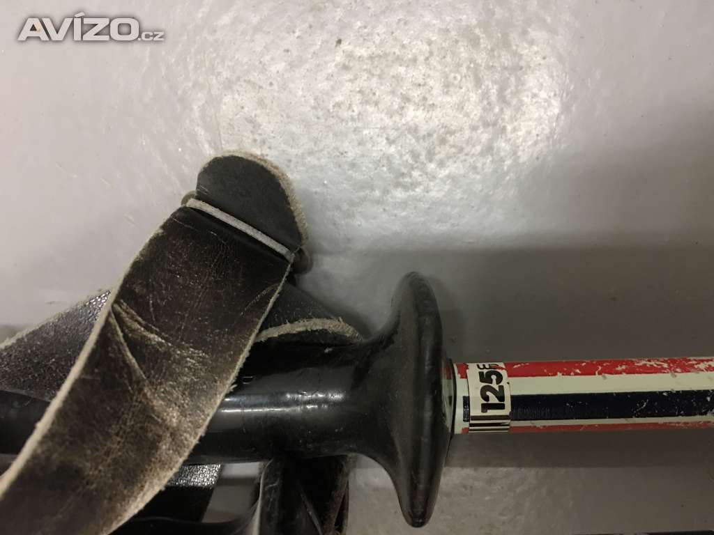 Foto inzerátu Lyže s vázáním i s hůlkami