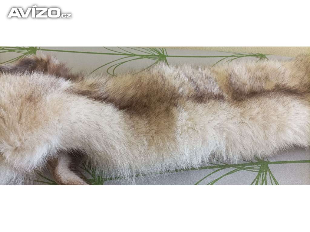 Foto inzerátu Set pravé lišky