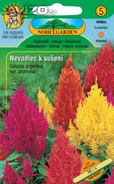 Nevadlec péřitý, směs (semena) www.levna-semena.cz