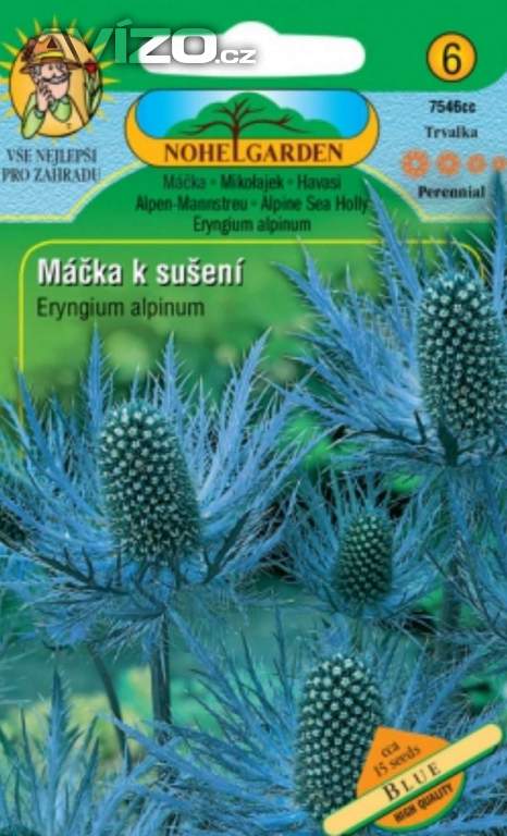 Máčka alpská, modrá (semena) www.levna-semena.cz