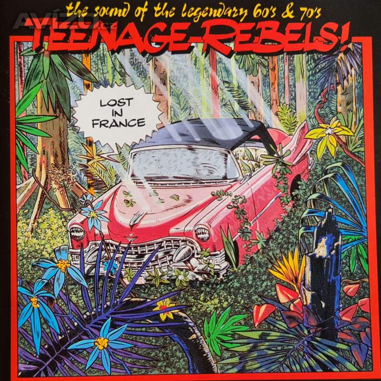 CD - TEENAGE REBELS / Lost In France