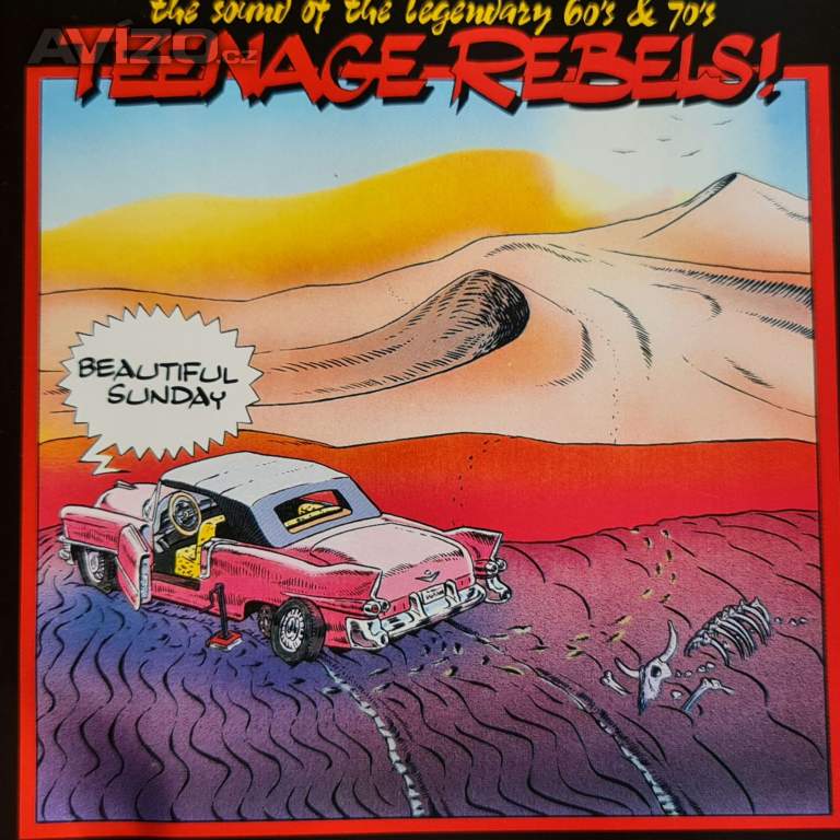 CD - TEENAGE REBELS / Beautiful Sunday