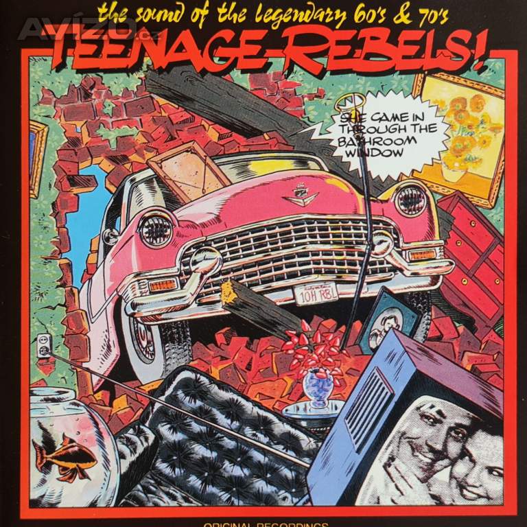 CD - TEENAGE REBELS / She Came In Through The Bathroom Window