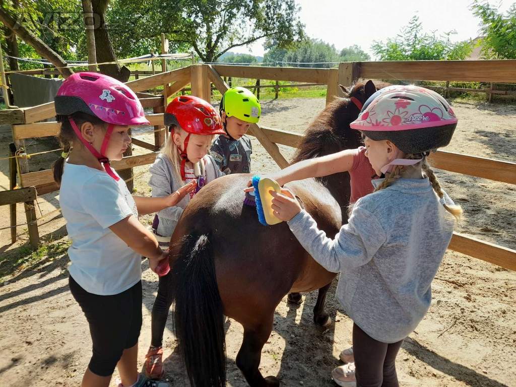 ⭐ Dětské akce, oslavy, zážitkové dny s koňmi.