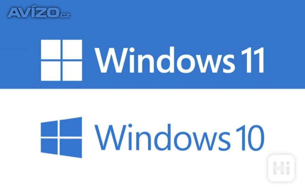 Windows 10 / 11