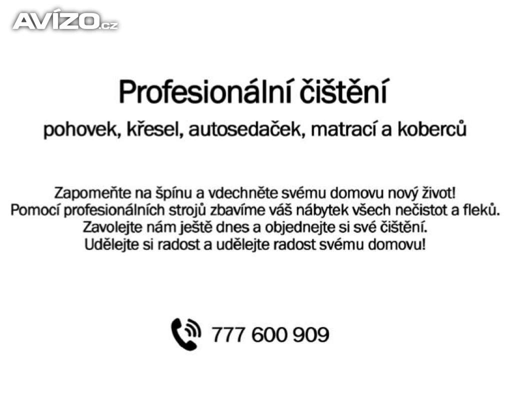 Profesionální Čištění Pohovek, Autosedaček...