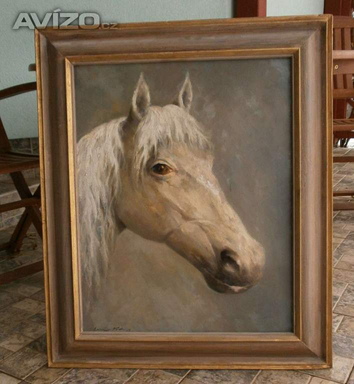 Karel Hodr - Portrét koně
