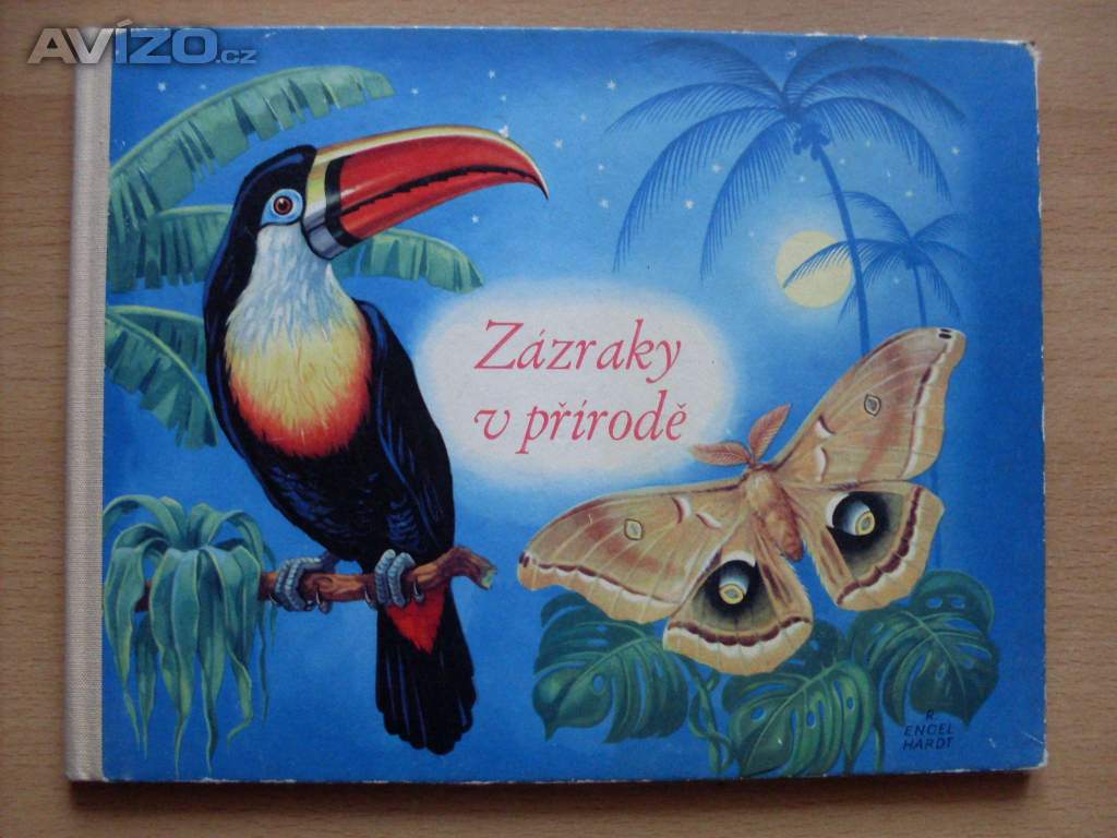 Zázraky v přírodě