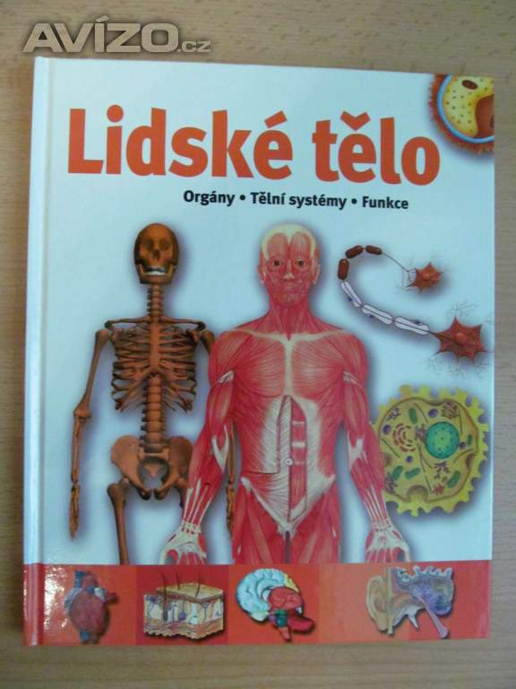 Foto inzerátu Knihy - Lidské tělo