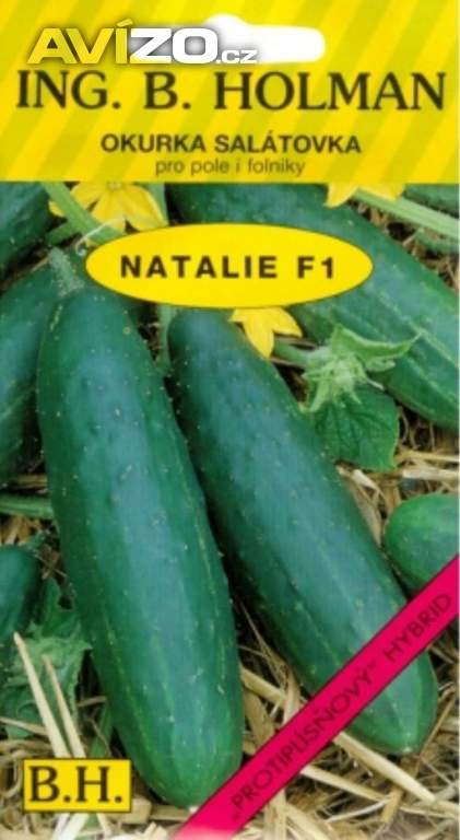 Okurka salátová - Natálie (semena) www.levna-semena.cz