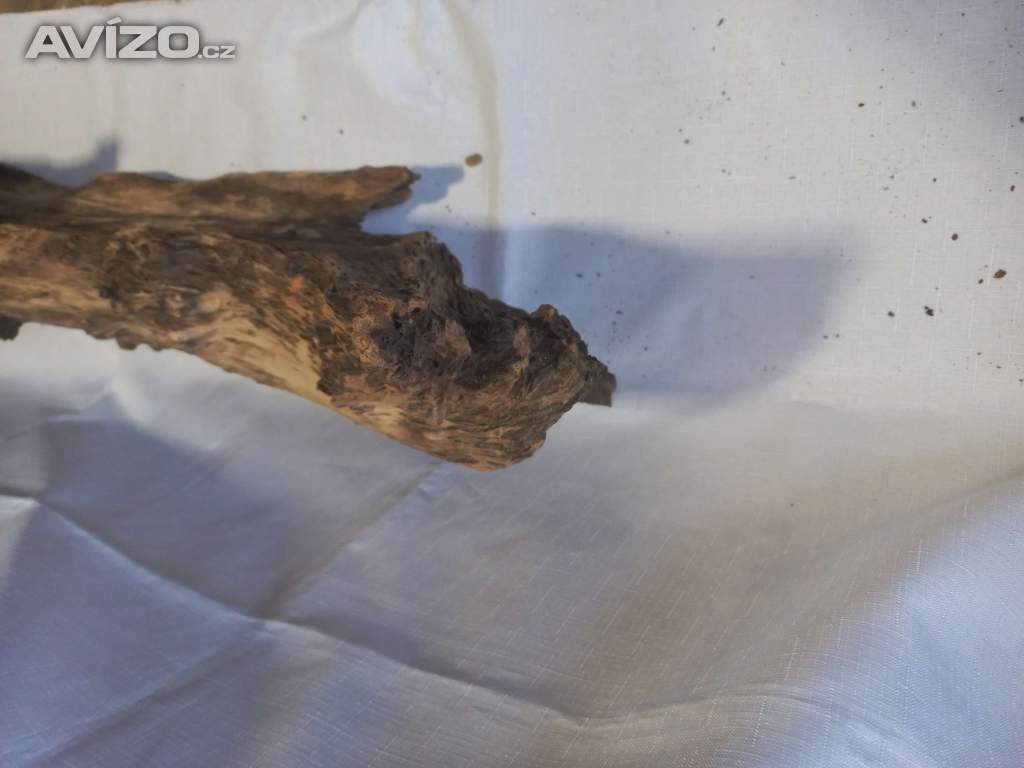 Kořen 62 do akvária / terária