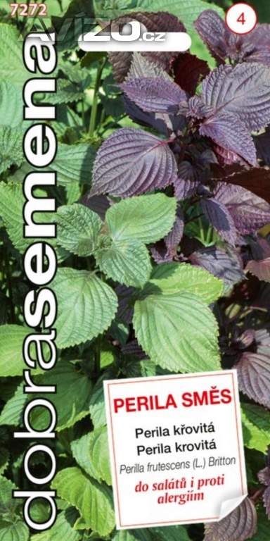 Perila křovitá, chuť Asie (semena) levna-semena.cz
