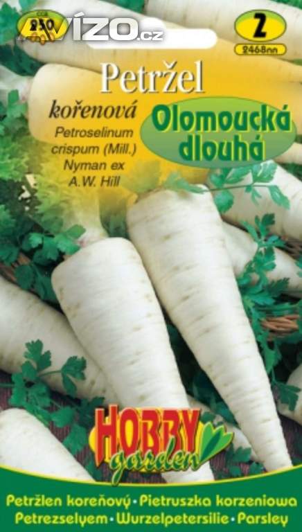 Petržel kořenová Olomoucká dlouhá (semena) levna-semena.cz