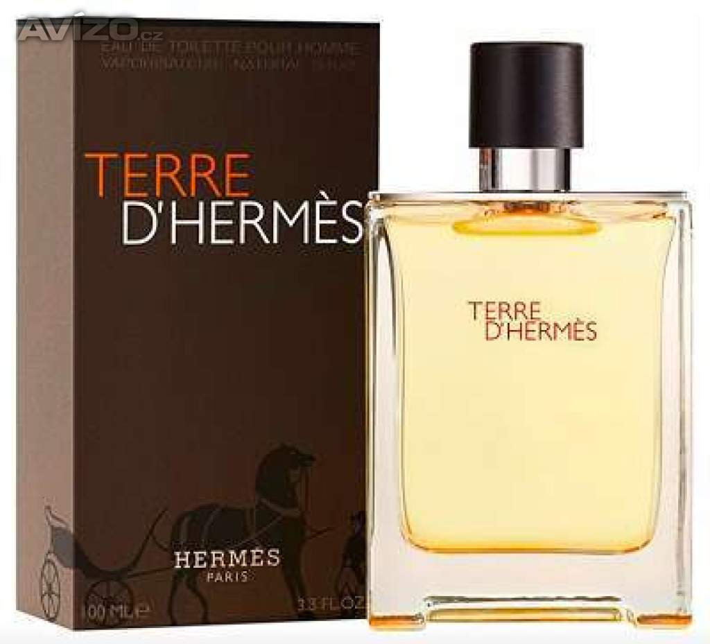 Hermes Terre D´Hermes EdT 100ml 
