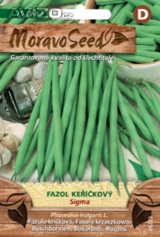 Fazol keříčkový zelený (semena) 