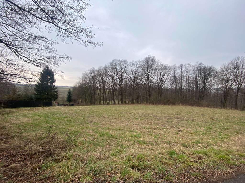 Prodej pozemků (Petřvald u Karviné - 19 320 m2)