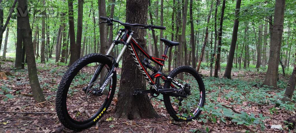 Specialized Status FSR 