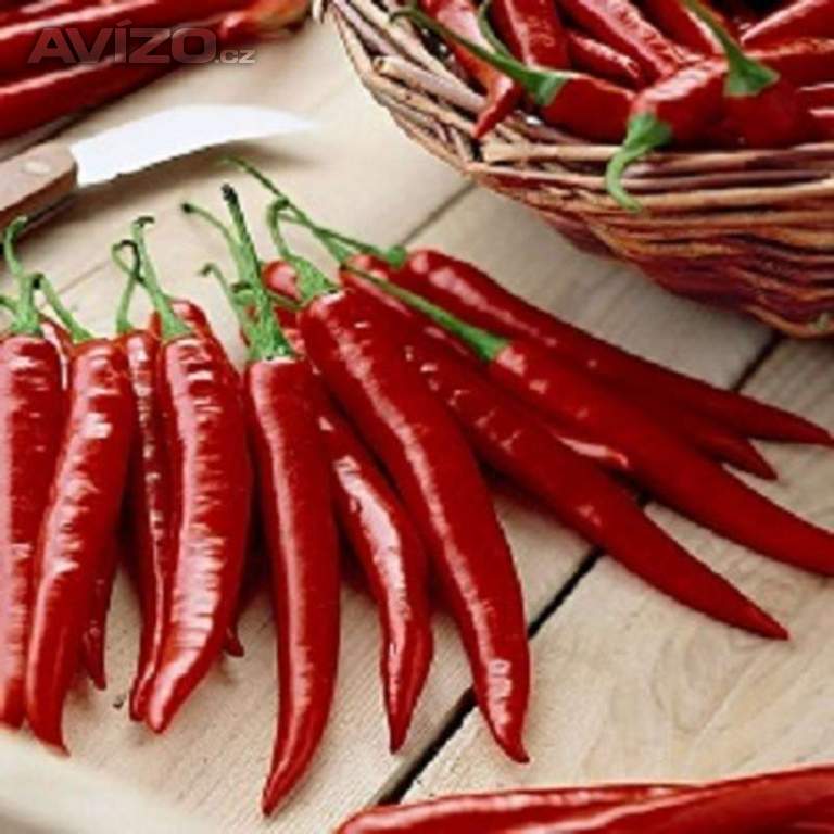 Chilli paprička, Rosso (semena) www.levna-semena.cz