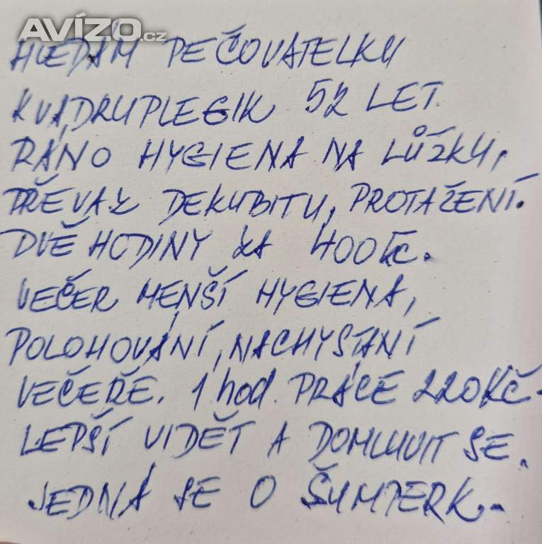Pečovatelka