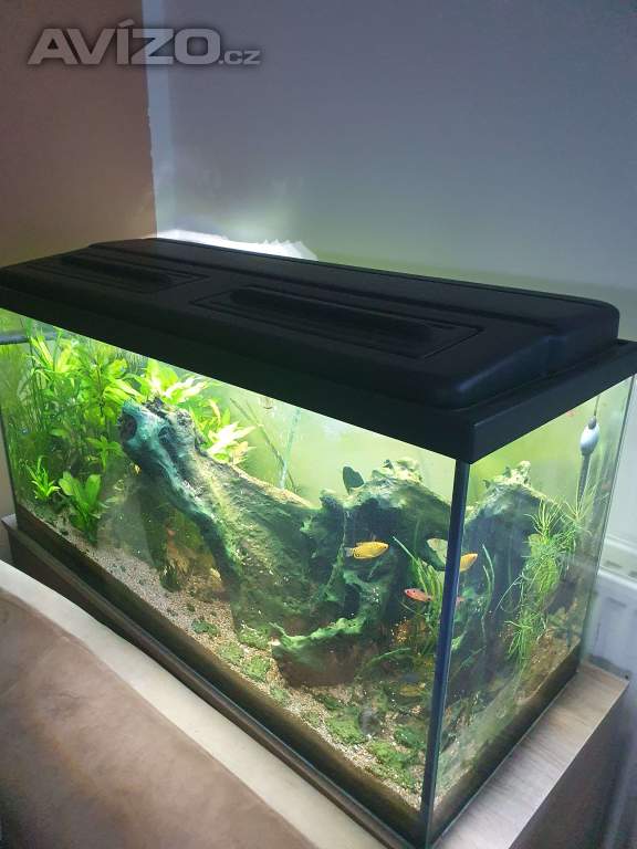 Kompletní akvárium 200 l