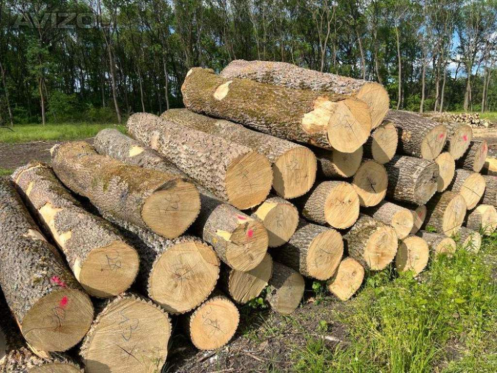 Palivové dřevo nejvyšší kvality. � Rozvoz zdarma po celé ČR. �