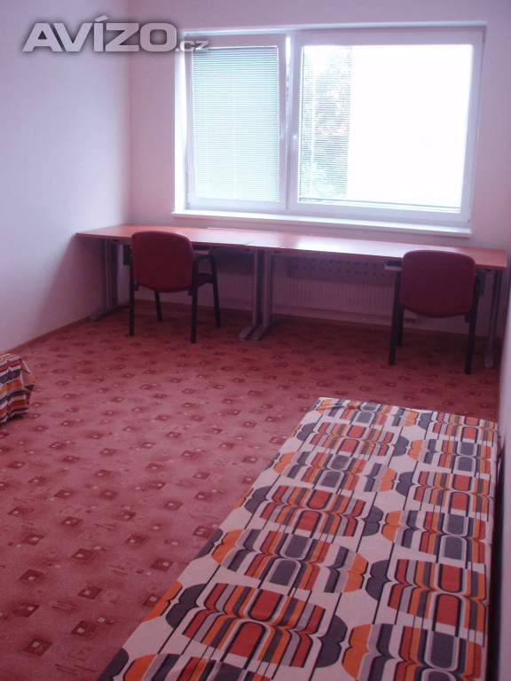 Křídlovická 981/27 Brno