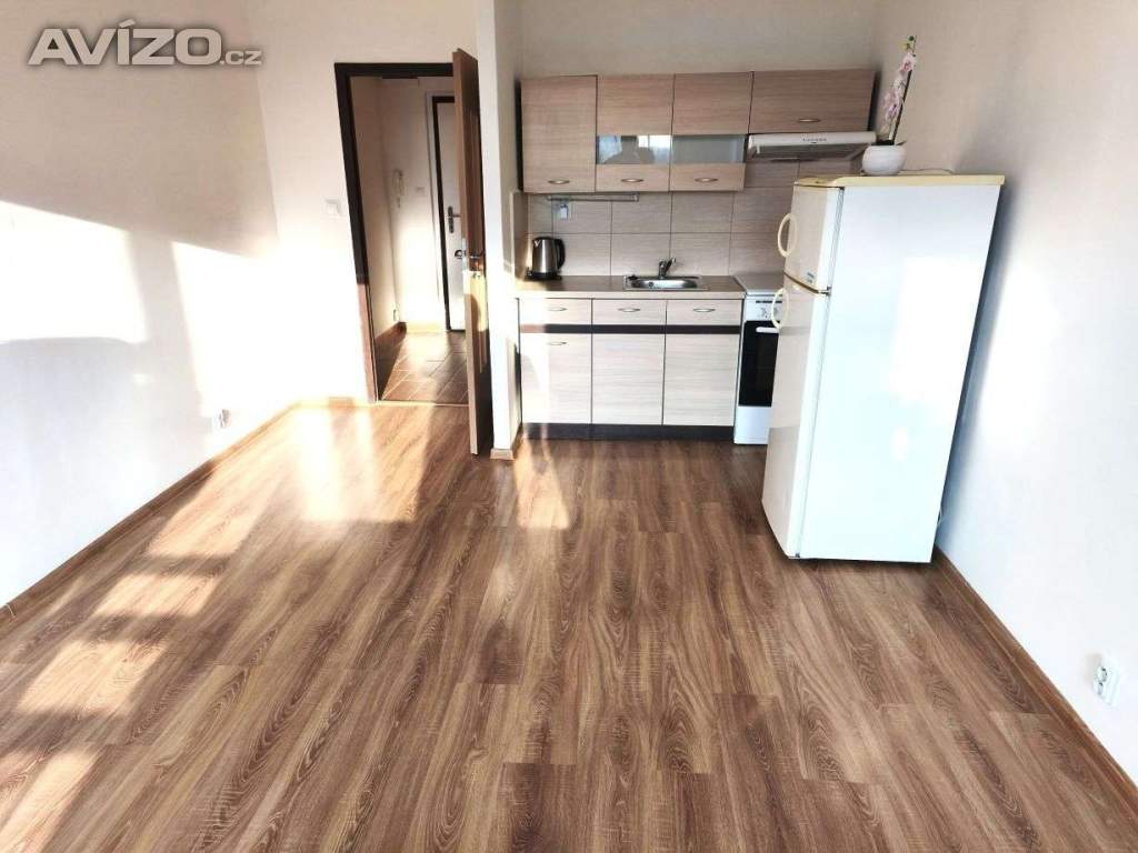 1+kk Moravská Ostrava, lodžie, úpravy, 8.900 Kč + běžná elektřina.  Volný 15. května.
