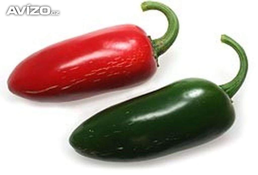 Sazenice Chilli Jalapeňo