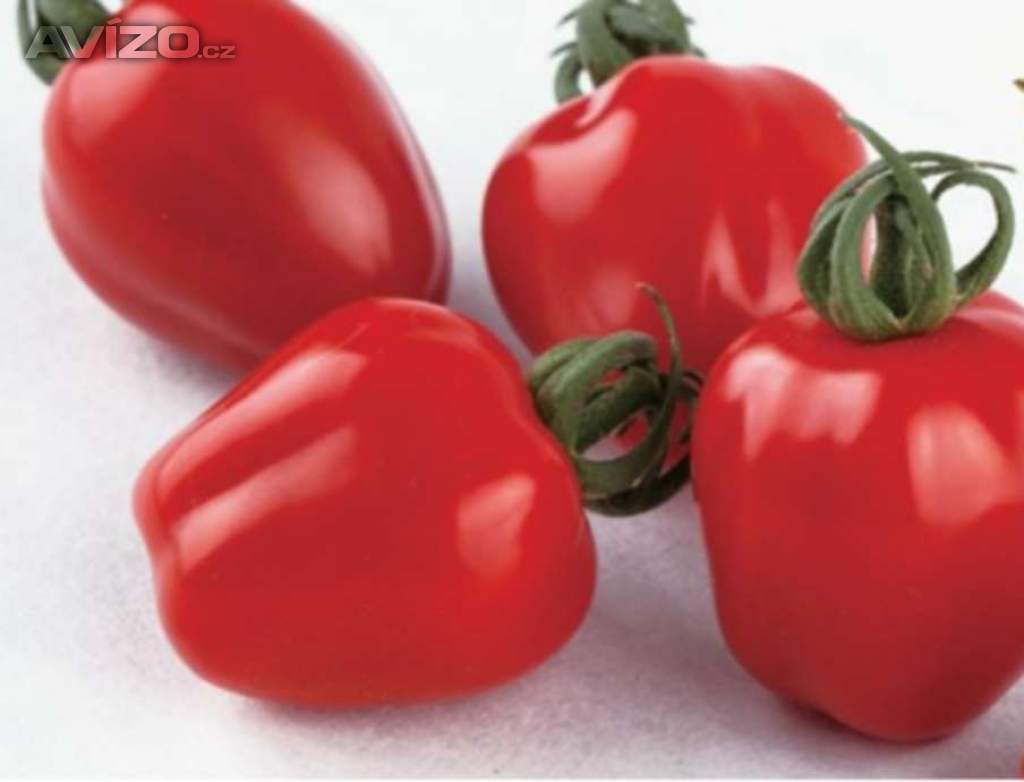 Sazenice rajče Appleberry F1 RED