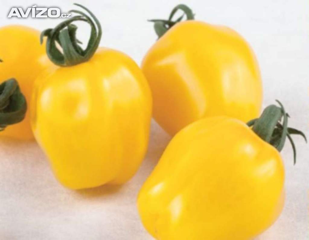 Sazenice rajče Appleberry F1 YELLOW